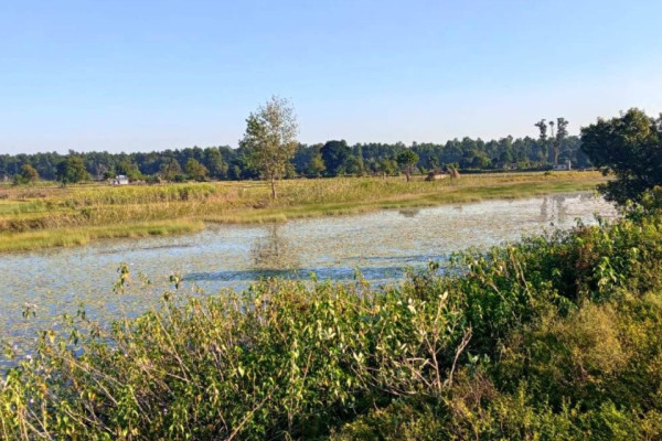 सीमा विवादले संकटमा सम्पदा : २२ बिघाबाट ५ बिघामा खुम्चियो ‘गडबिजुला’ ताल